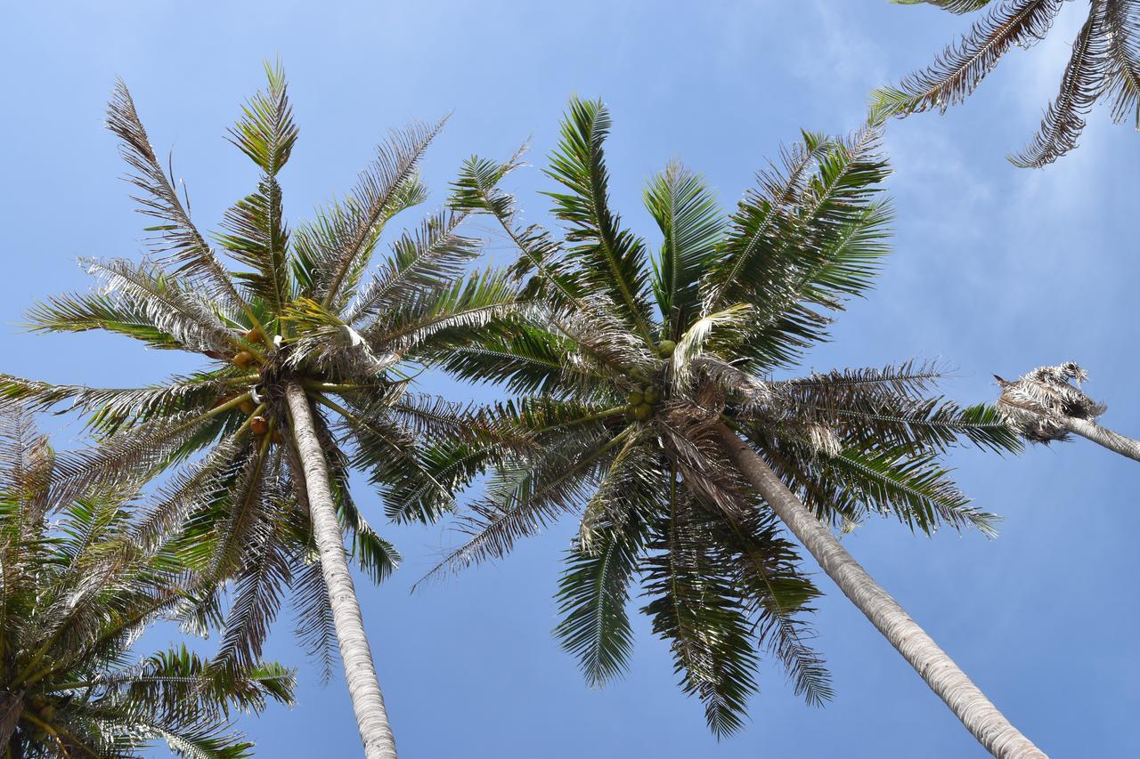 Magic Resort Lamai Beach  Luaran gambar